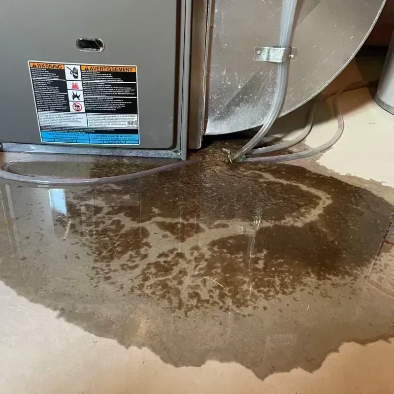 Appliance Leak Cleanup in Akutan, AK